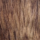 Detail of Fur